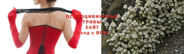 меф Михайловск