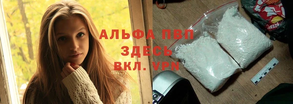 крисы Мегион