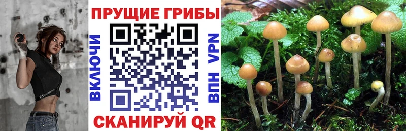 Псилоцибиновые грибы MAGIC MUSHROOMS  Щигры 